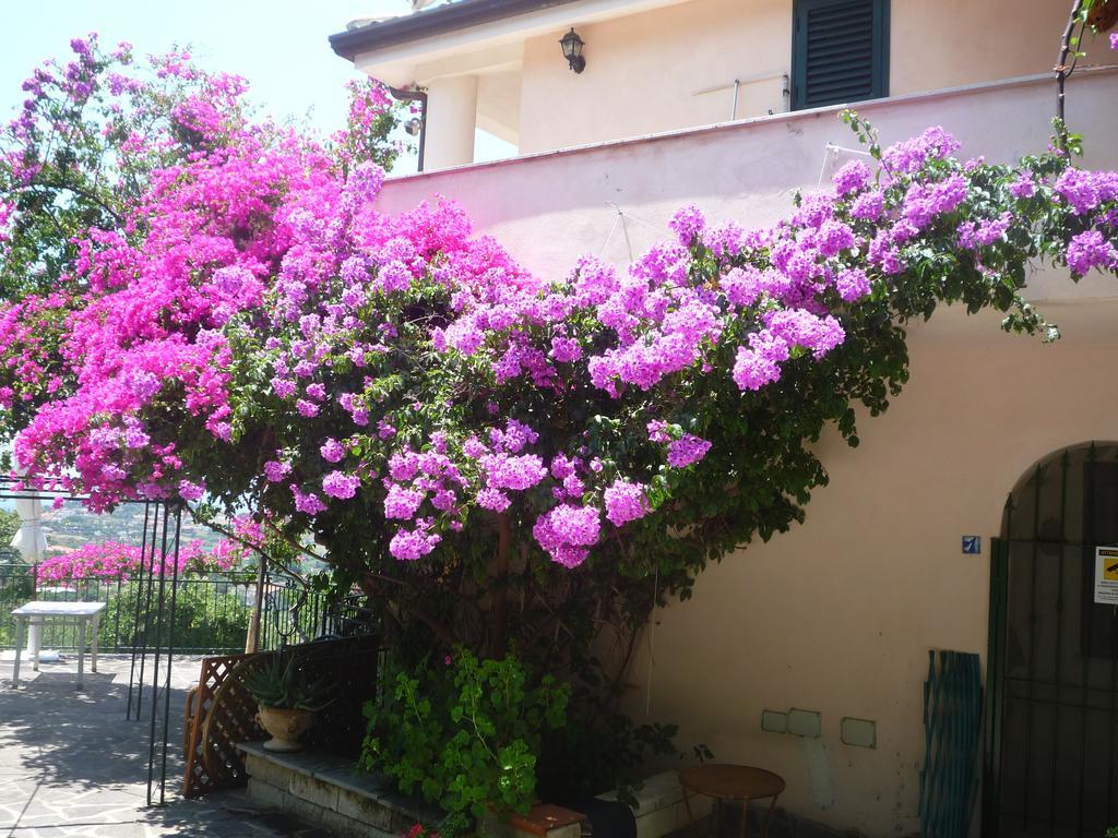 Villa Panthea Capo Vaticano Exterior photo